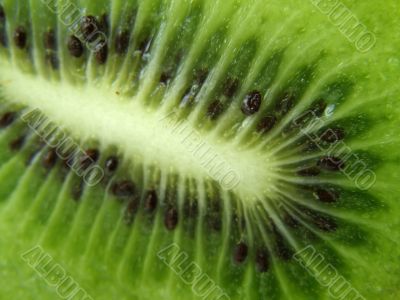 fruit