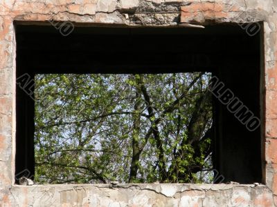 Window.