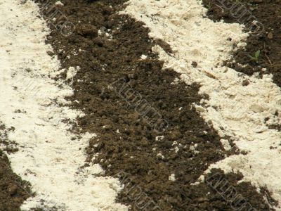 The ground and sand.