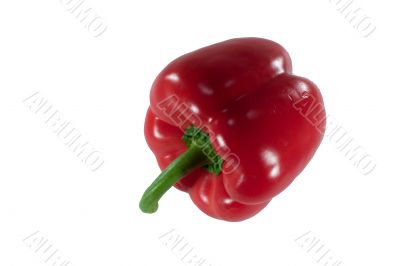 Red paprika