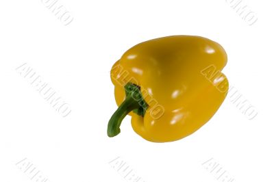 Paprika
