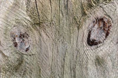 Rough Wood Planks