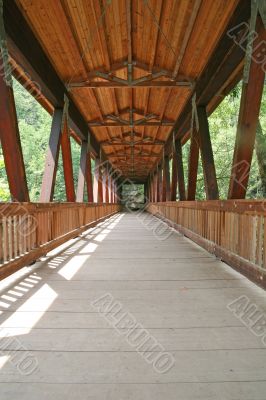 Bridge Into Woods