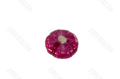 Onion
