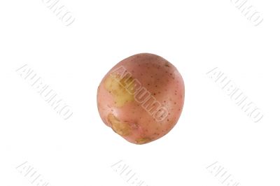 New potato