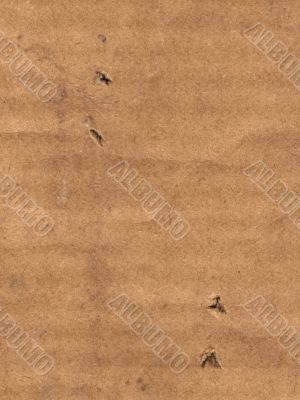 paper