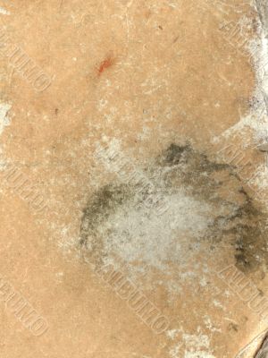 paper