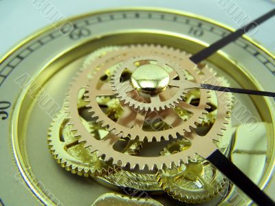 watches.