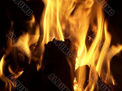 fire