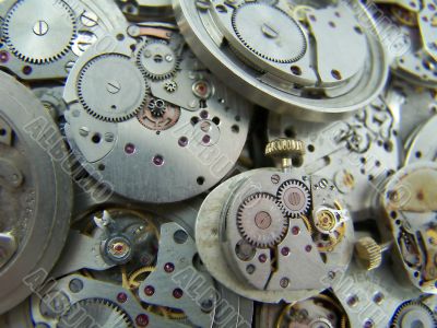 watches.