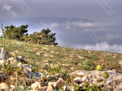Mountain landscape. Crimea.