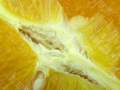 fruit