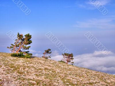 Mountain landscape. Crimea.