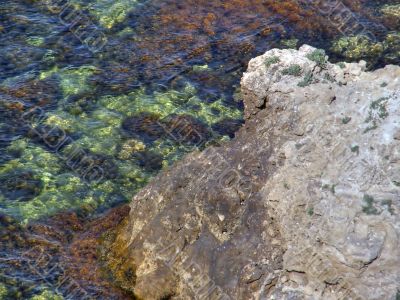 Beautiful sea coast. The western Crimea.