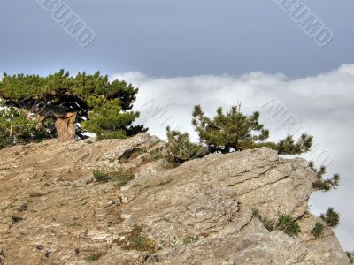 Mountain landscape. Crimea.