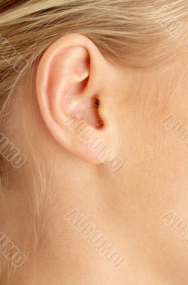 ear of blond