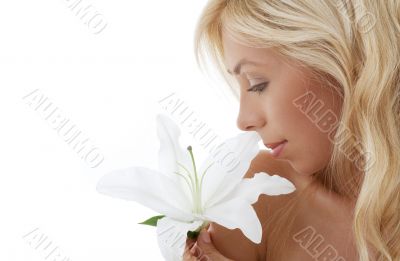 madonna lily blond