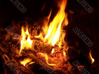 fire