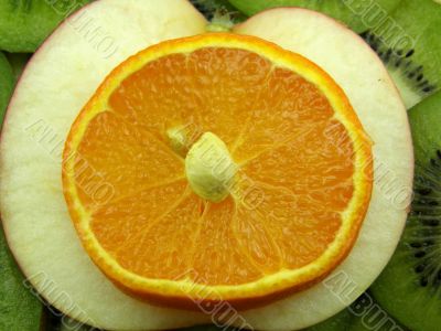 fruit