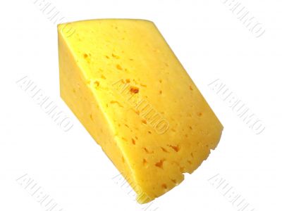 The head of cheese.
