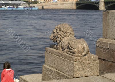 Leo on the banks of Neva