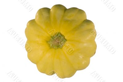 Yellow squash
