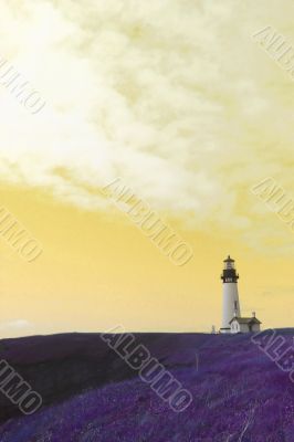 Yaquina Head Lighthouse, yellow