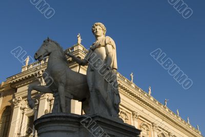castor