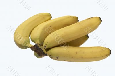 Bunch of bananas
