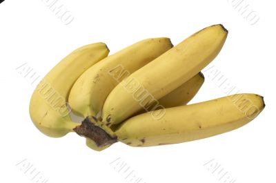 Bunch of bananas