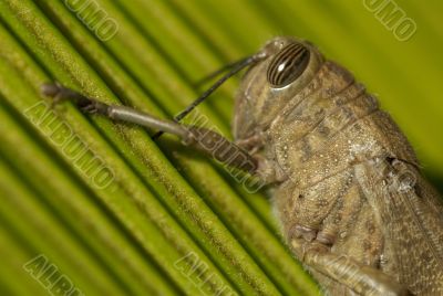 close hopper