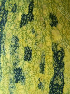 texture