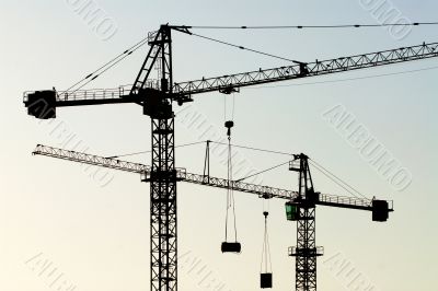cranes horizontal