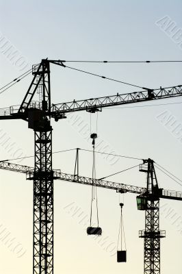 cranes vertical