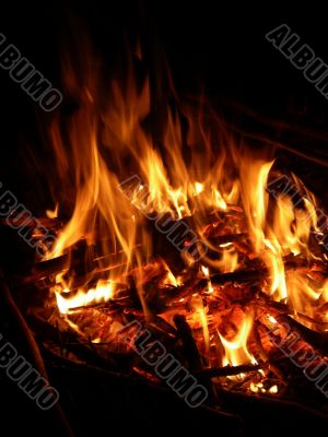 Fire