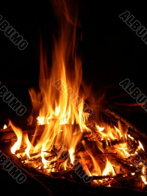 Fire