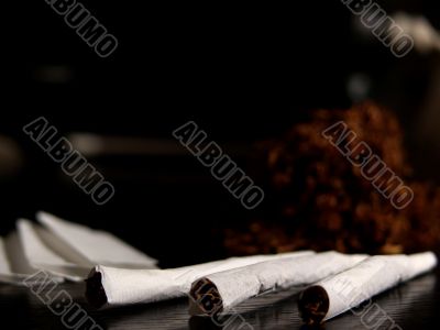 joints