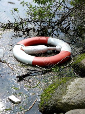 life buoy