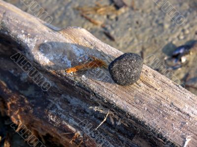Black Stone