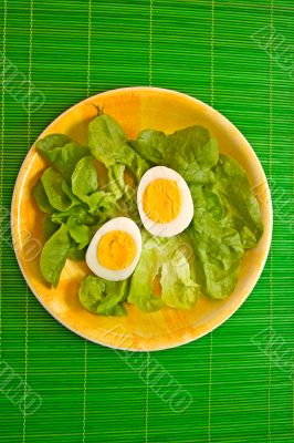 Egg and lettuce