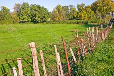 Rural pasture
