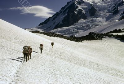 Climbers, descending on glacier