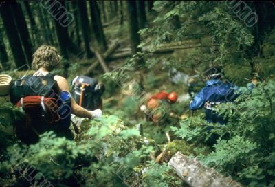 Bushwhacking - Climbers, descending