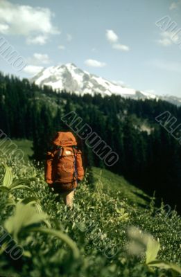 Hiker in meadow
