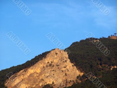 Landscape.