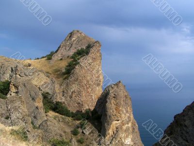 Landscape.