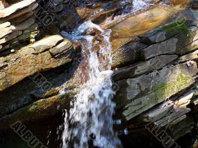 Water.