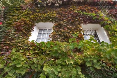 Cosy windows.