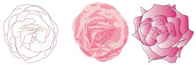 Illustration of roses