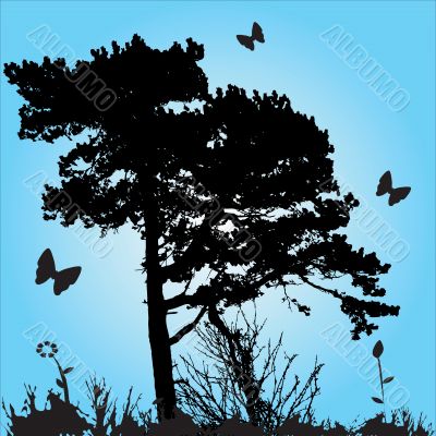 Tree Silhouette